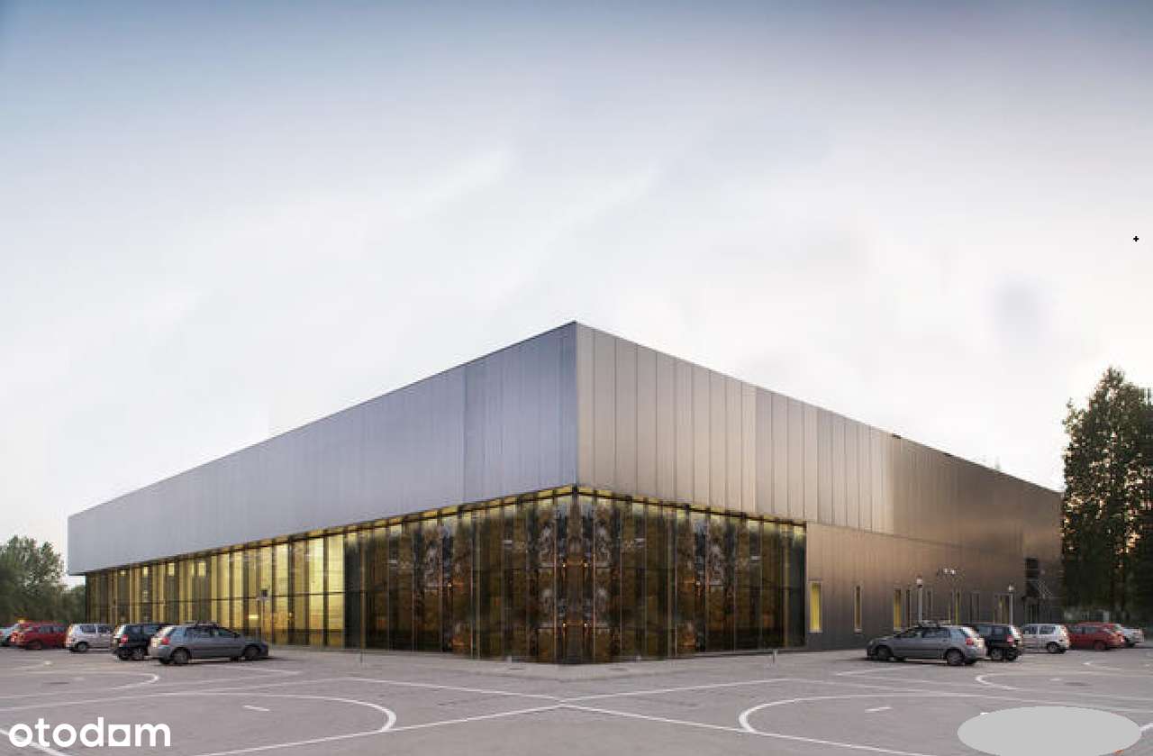 Atrakcyjna działka inwestycyjna 0,599 ha, media - Pełny obrazek: 1/11