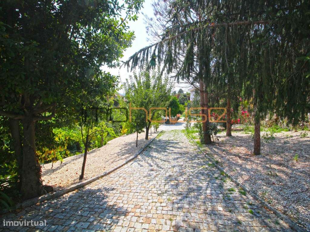 Quinta com Casa Remodelada e Antigo Moinho de Água Junto a Ribeiro-33