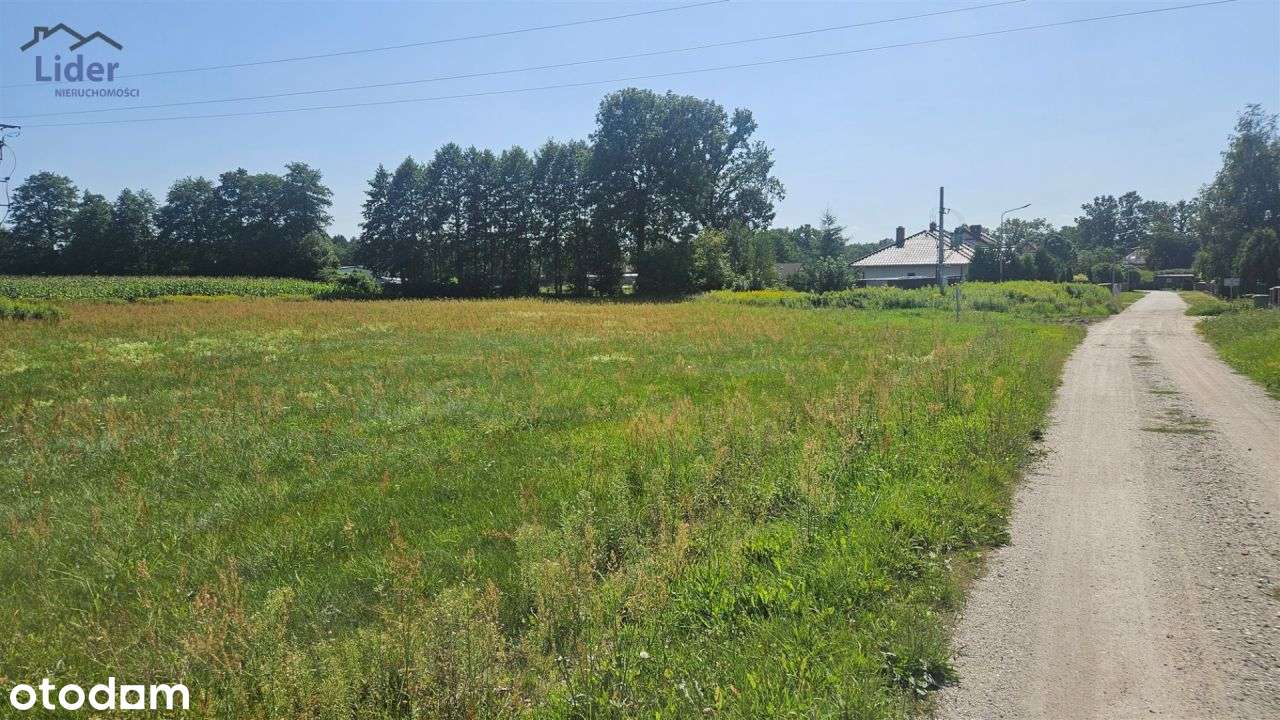 Dwie działki pod bud. domu, Kopanino-4