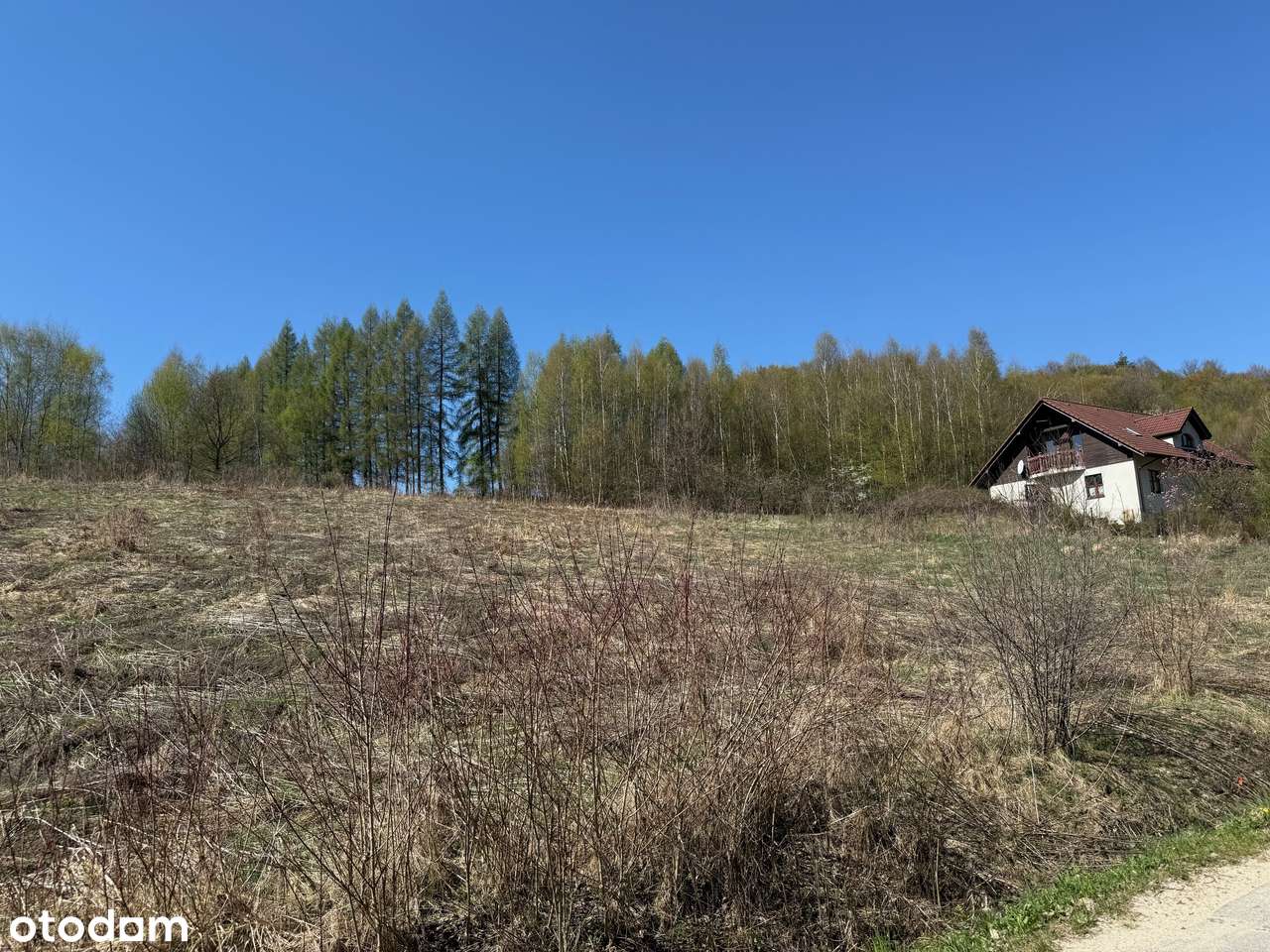 Jerzmanowice,działki budowlano-rolne 4237m2, ok.Jaskini Nietoperzowej-7