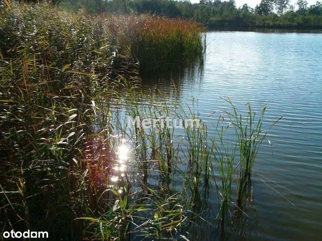 Działka z domkiem całorocznym Annowo-13