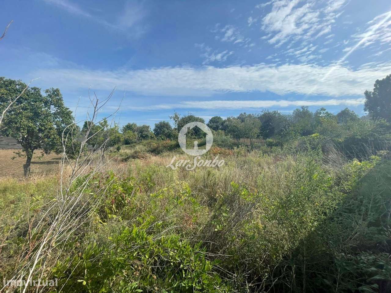 Terreno para construção em Barcelos - Grande imagem: 4/22