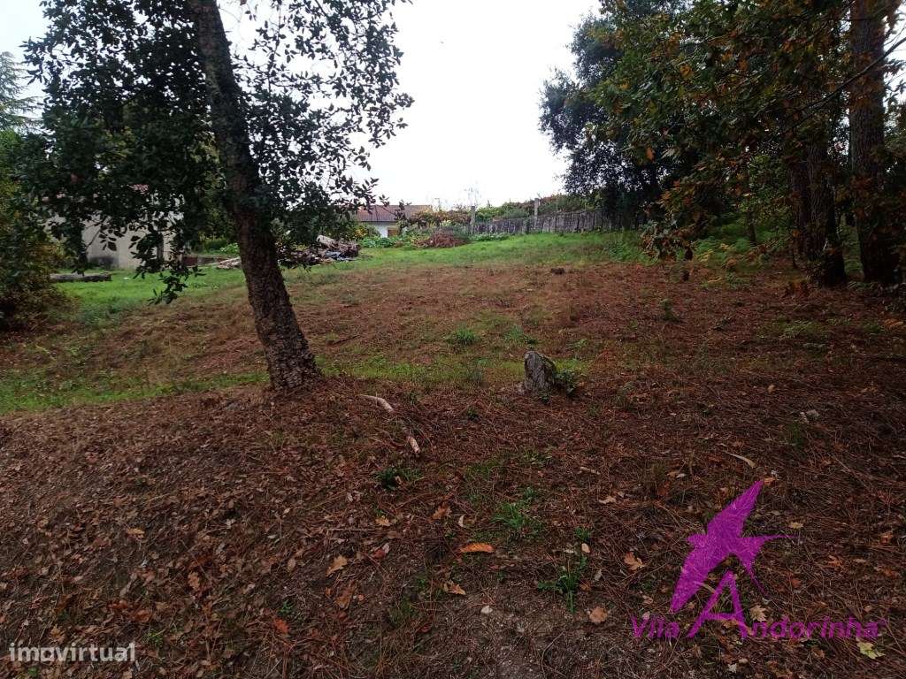 Terreno em Cerdal - Grande imagem: 4/12