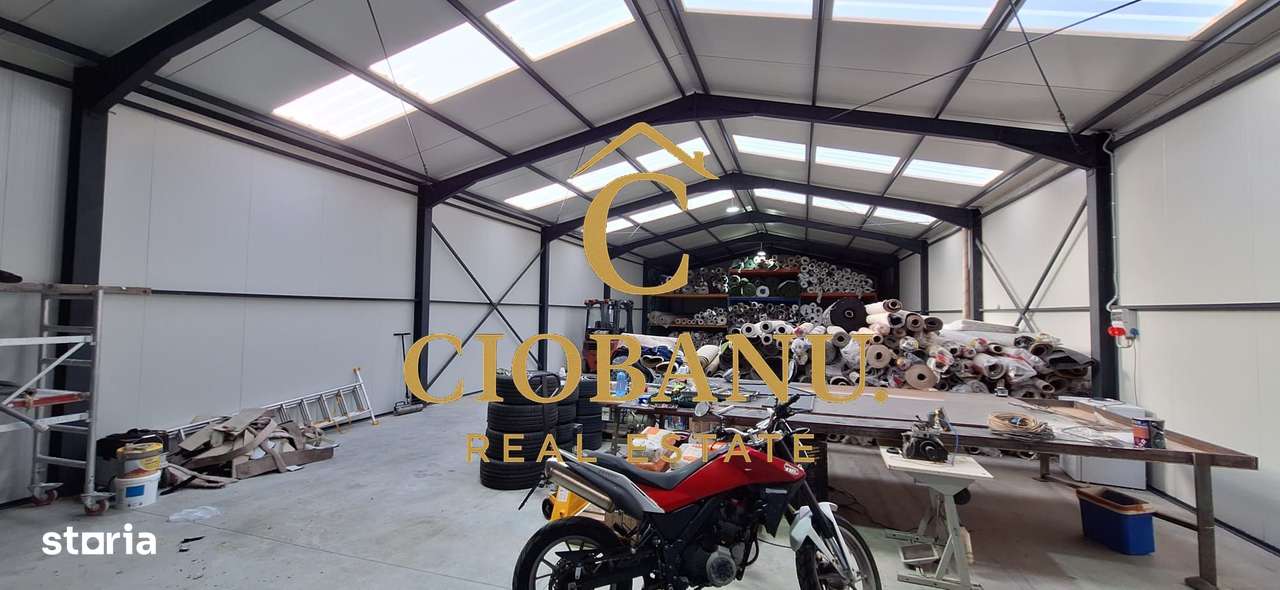 Hala de vanzare in Racari de Jos-9
