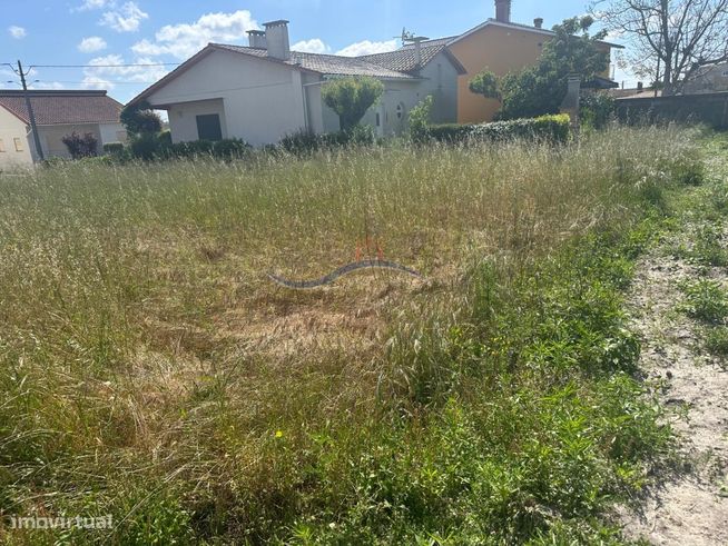 Terreno - Carreira-3