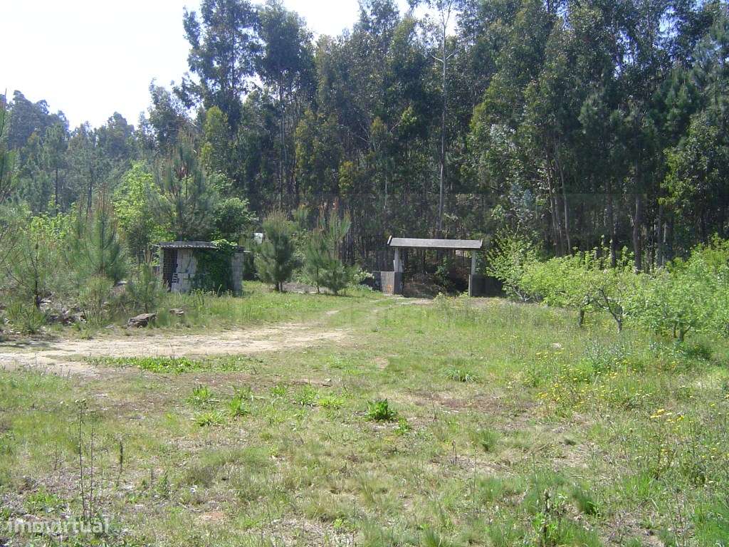 Quinta / Terreno para construção - Sever do Vouga - Grande imagem: 4/5