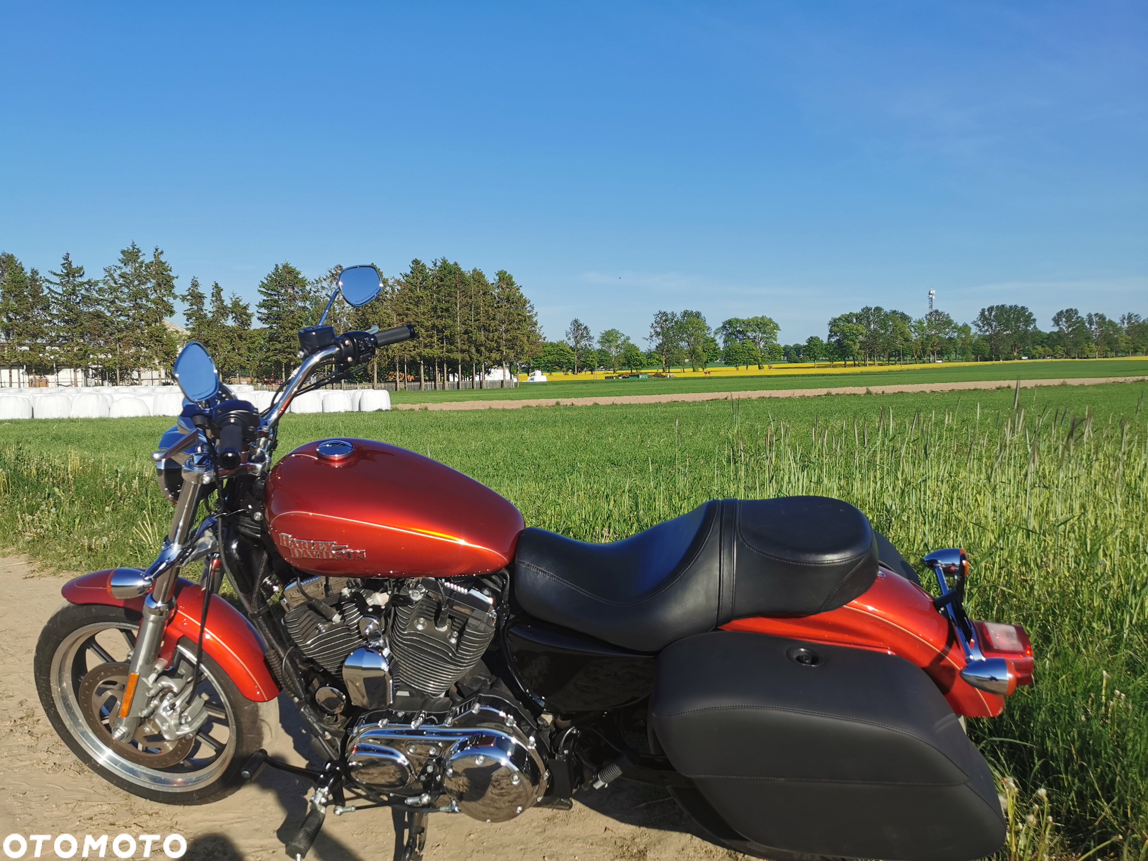 Harley-Davidson Sportster Custom 1200C - 2