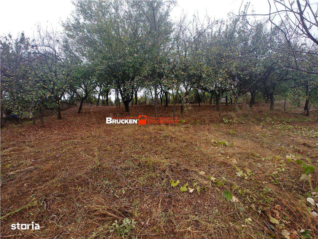 LOC DE CASA CU PANORAMA SUPERBA - Imagine principală: 5/7