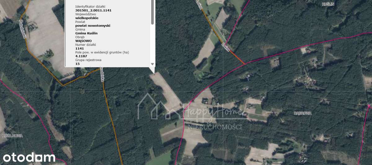 Grunty pod zabudowę mieszkaniową - Wąsowo-3