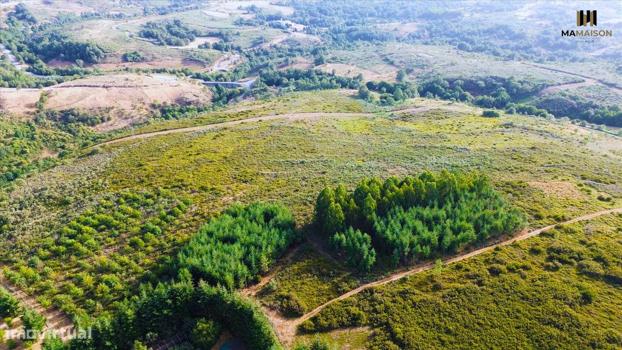 TERRENO COM + de 6 HECTARES | 63.000m2-6