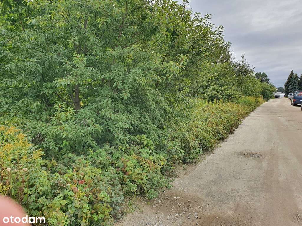 Działka budowlano-usługowa Wrocław Strachowice-7