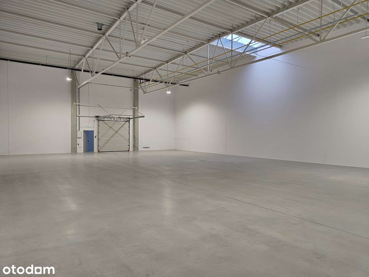 BEZPOŚREDNO Nowe Miasto, Śródka 500m2-1000 m2 - Pełny obrazek: 4/8