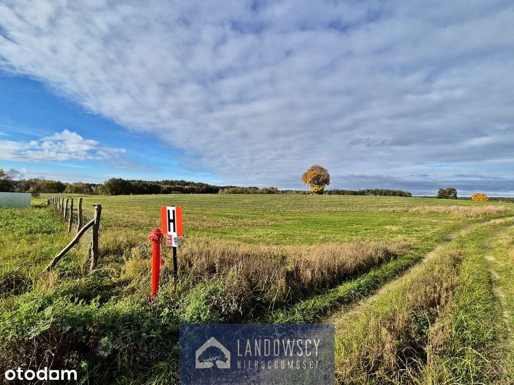 Zainwestuj w ziemię pod miastem | Okole - Linowiec - Pełny obrazek: 4/20