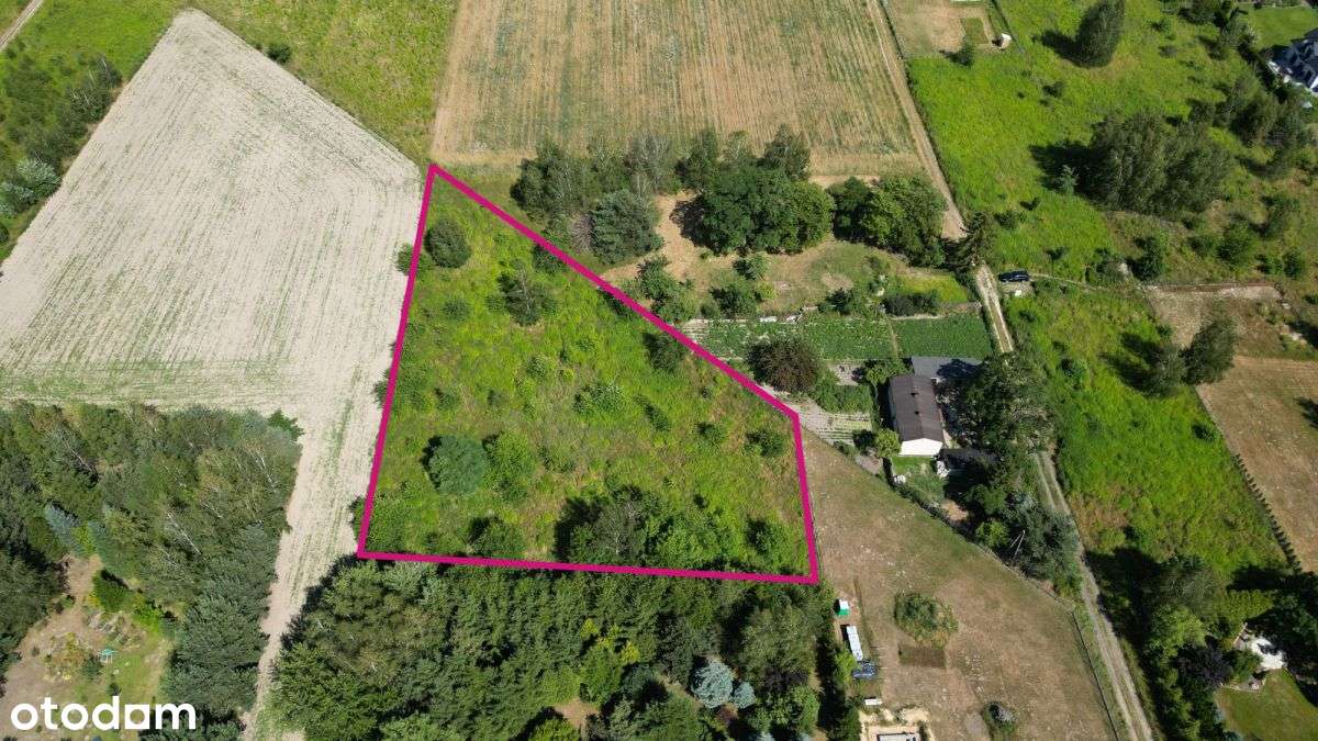 Duża działka  Mileszki Widzew  3877 m2 - Pełny obrazek: 2/14