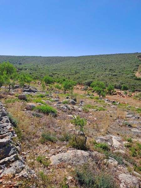 Terreno rústico 27000 - Grande imagem: 3/9