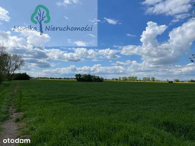 Działka rolna IV klasa gruntu - Pełny obrazek: 4/9