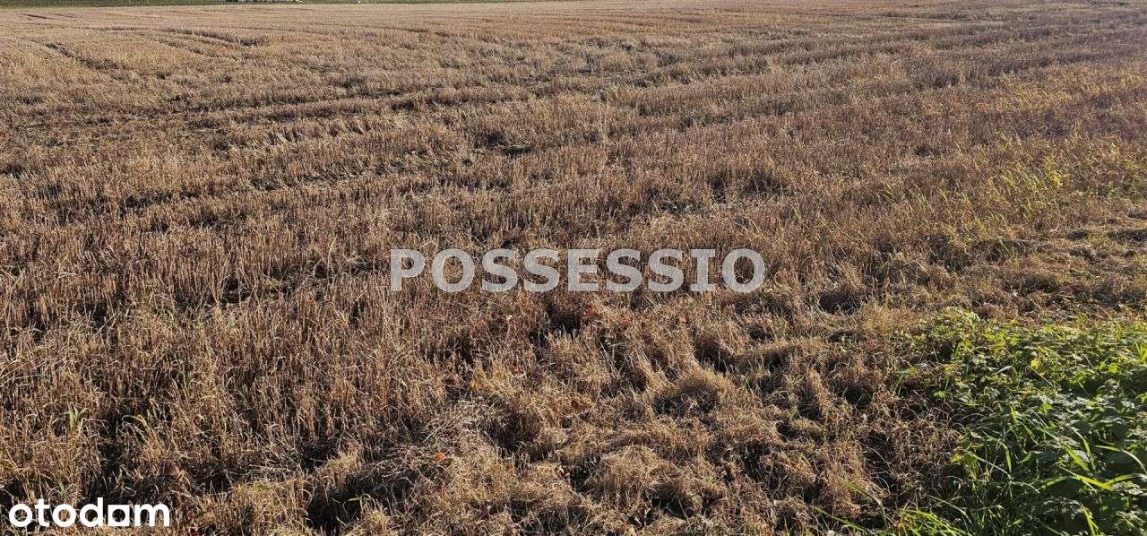 Dziaka Komercyjna W Atrakcyjnej Lokalizacji-1