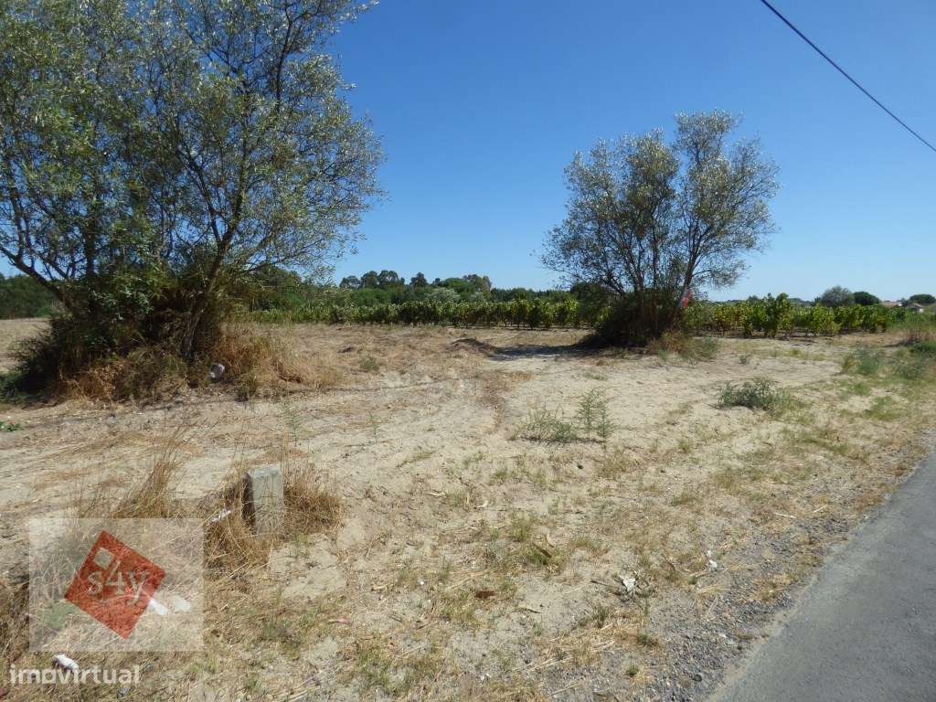Terreno Foros do Trapo de 5.500m2! - Grande imagem: 4/5