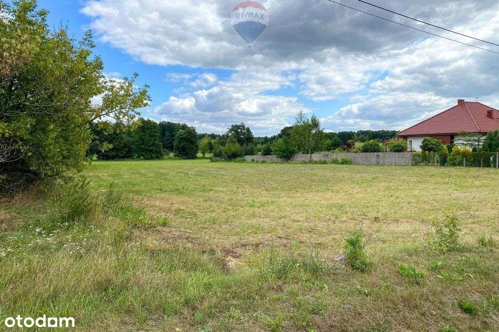 Działka rolno-budowlana 3149m2, Łaziska - Pełny obrazek: 5/8