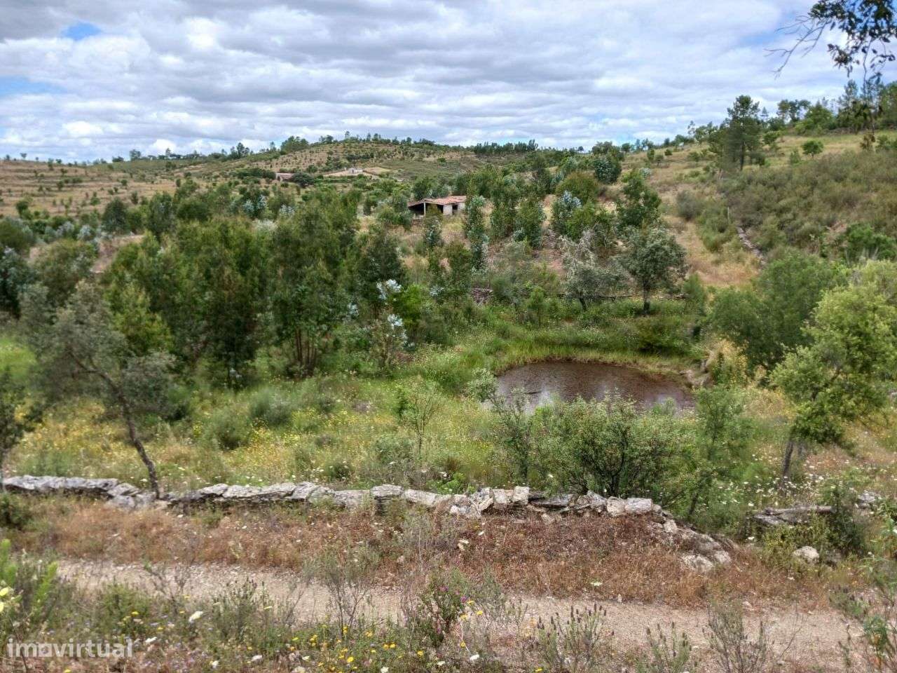 Quinta - Grande imagem: 4/9