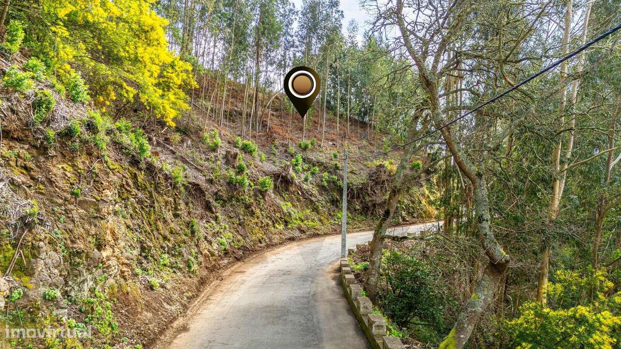 Terreno localizado na Camacha, com área total de 1.430 m2-8