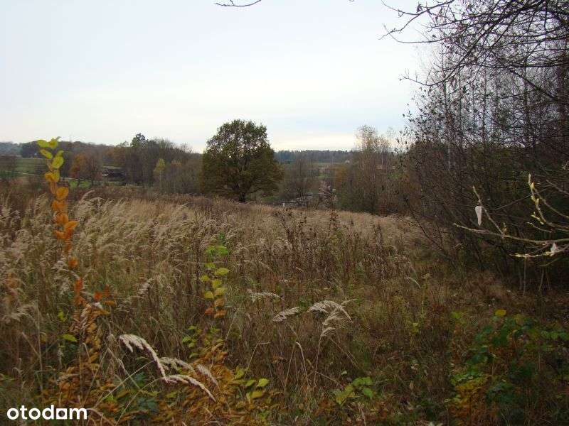 Działka rolna - Zamarski - Pełny obrazek: 4/7