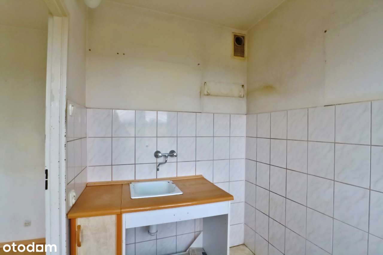 **Emilii Plater** - Pełny obrazek: 5/11