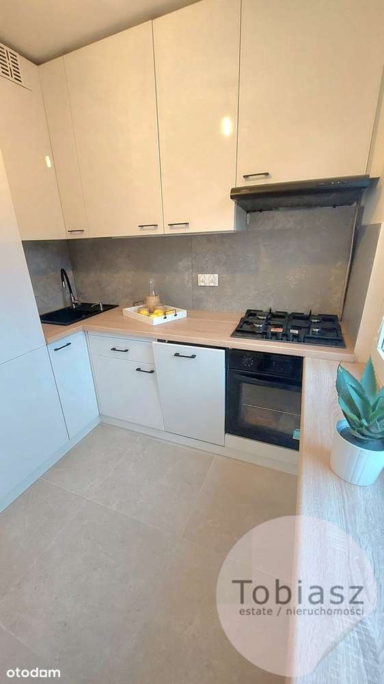 Wygodne, po remoncie, 2 pokoje+ jasna kuchnia-1