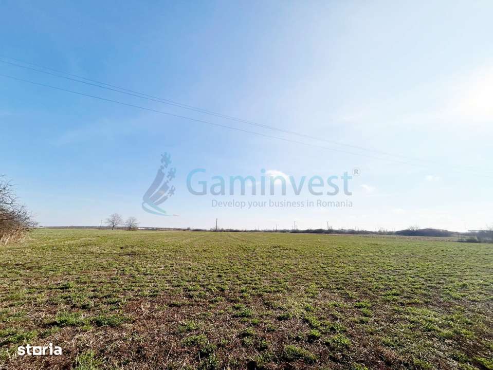 Teren industrial,Puz aprobat,P. Industrial Bors,Bihor,Gaminvest,V3892A - Imagine principală: 1/1