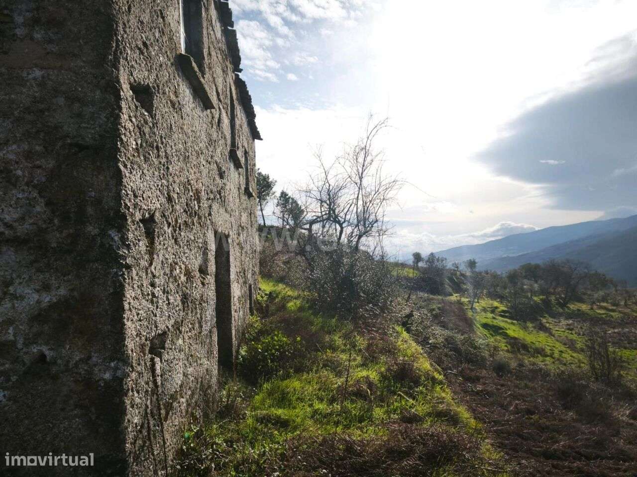 Quintinha T1 / Covilhã, Teixoso e Sarzedo - Grande imagem: 3/14