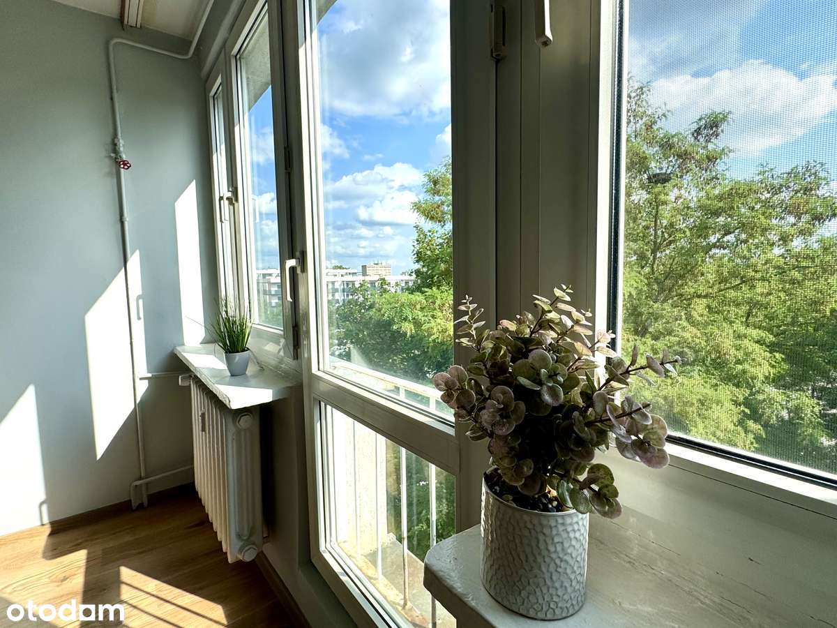 2 - pokojowe mieszkanie przy ul. Mikołaja Reja w Oleśnicy!-3