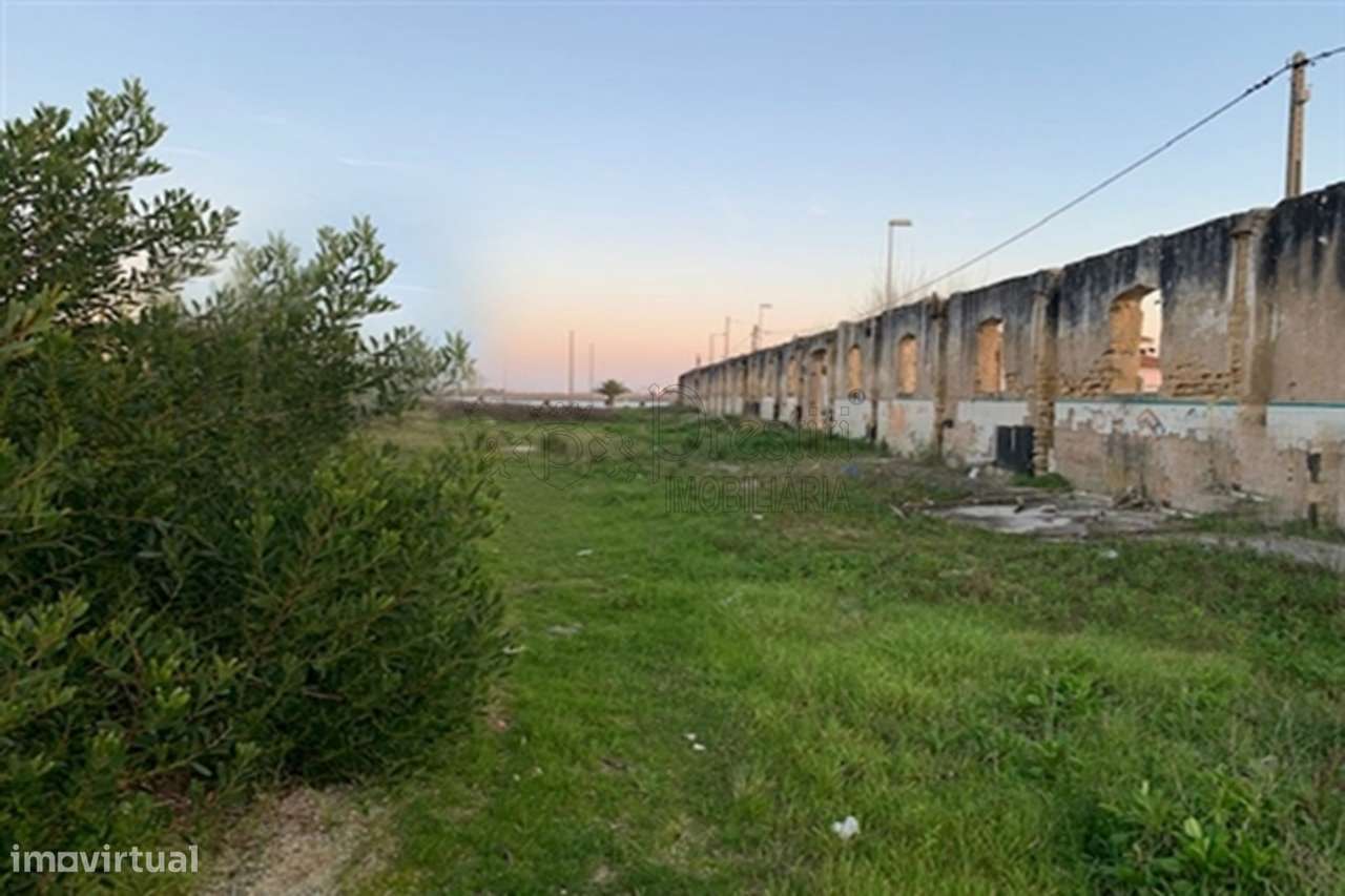 Terreno para Construção em São jacinto - Grande imagem: 5/9