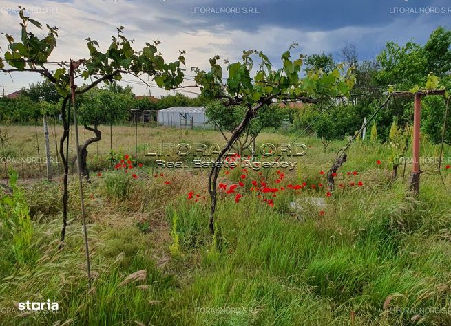 Valu lui Traian - Str. Tudor Arghezi nr. 5, teren intravilan 2.912 mp-14