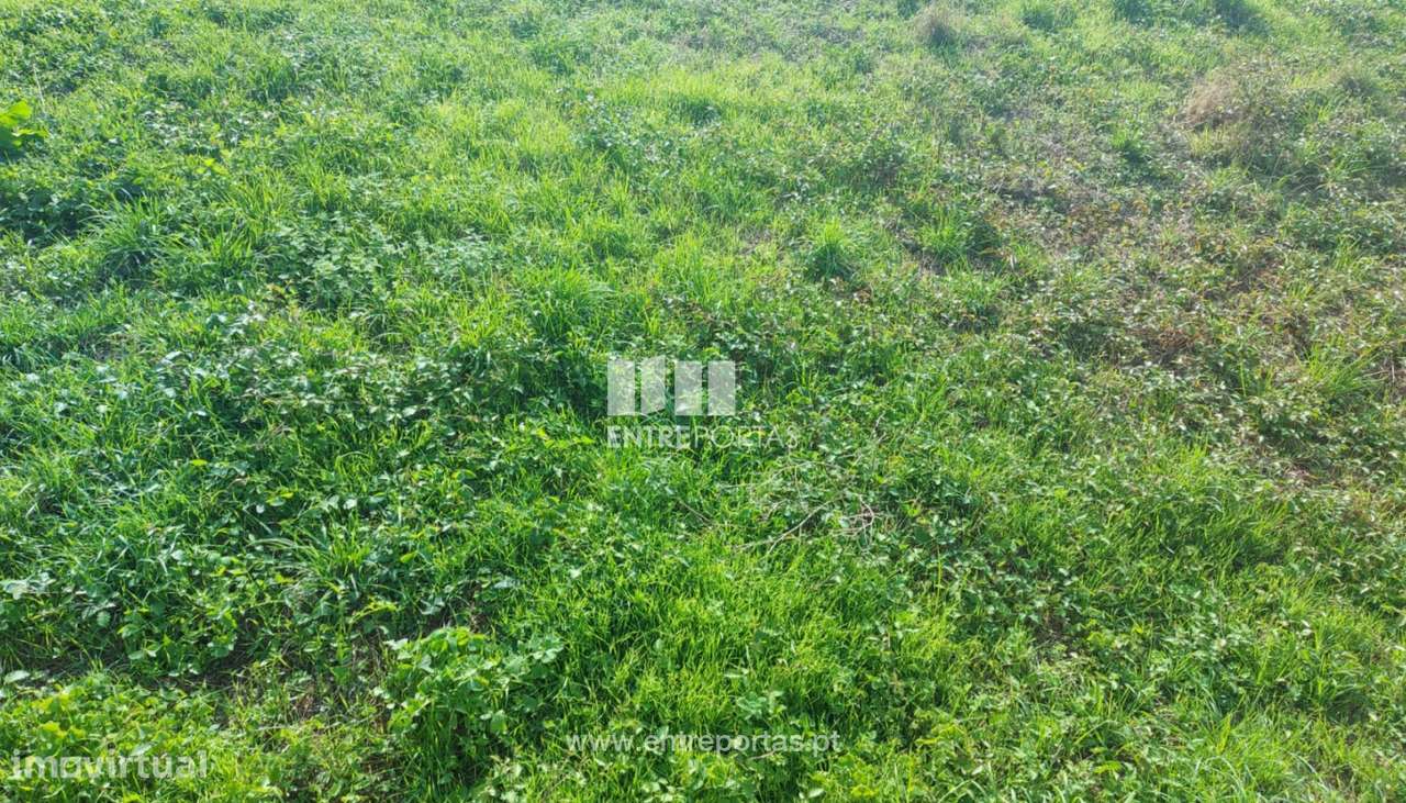 Venda de Terreno com 330 m2, Tougues, Vila do Conde - Grande imagem: 3/12