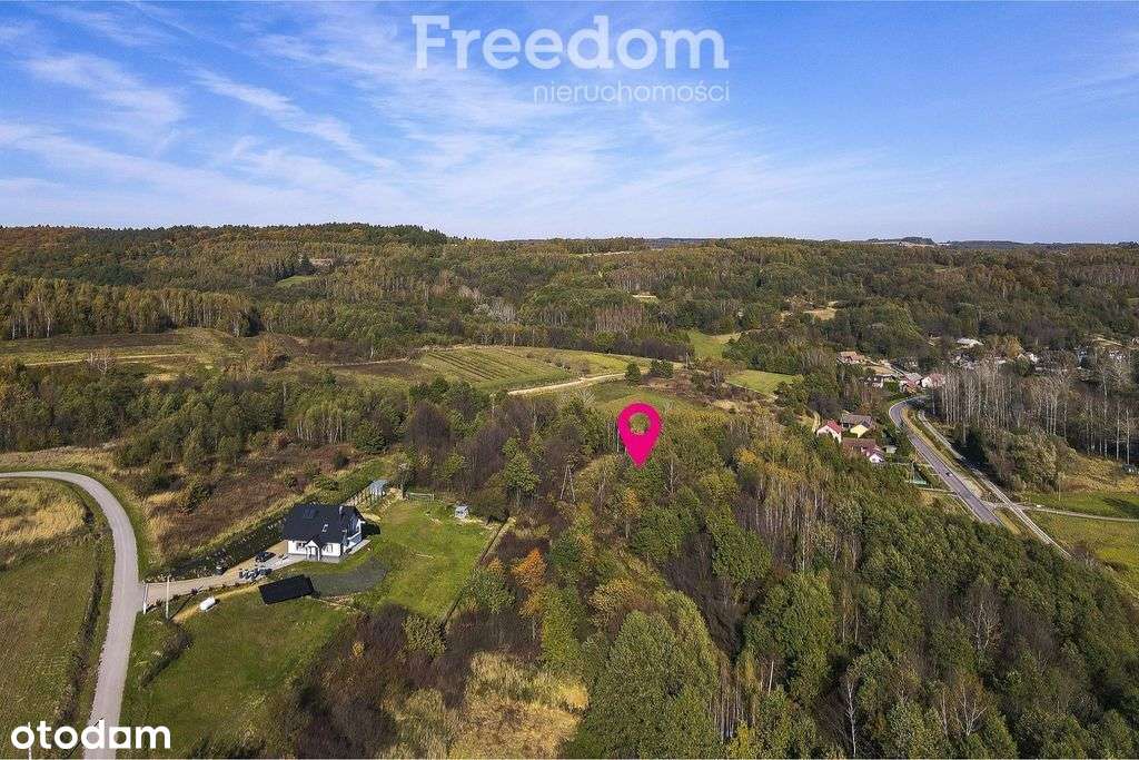 Działka z lasem i widokem_24 a - Pełny obrazek: 1/11