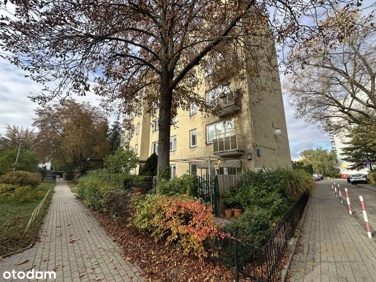 Mieszkanie z potencjałem dla rodziny lub na wynaje-9