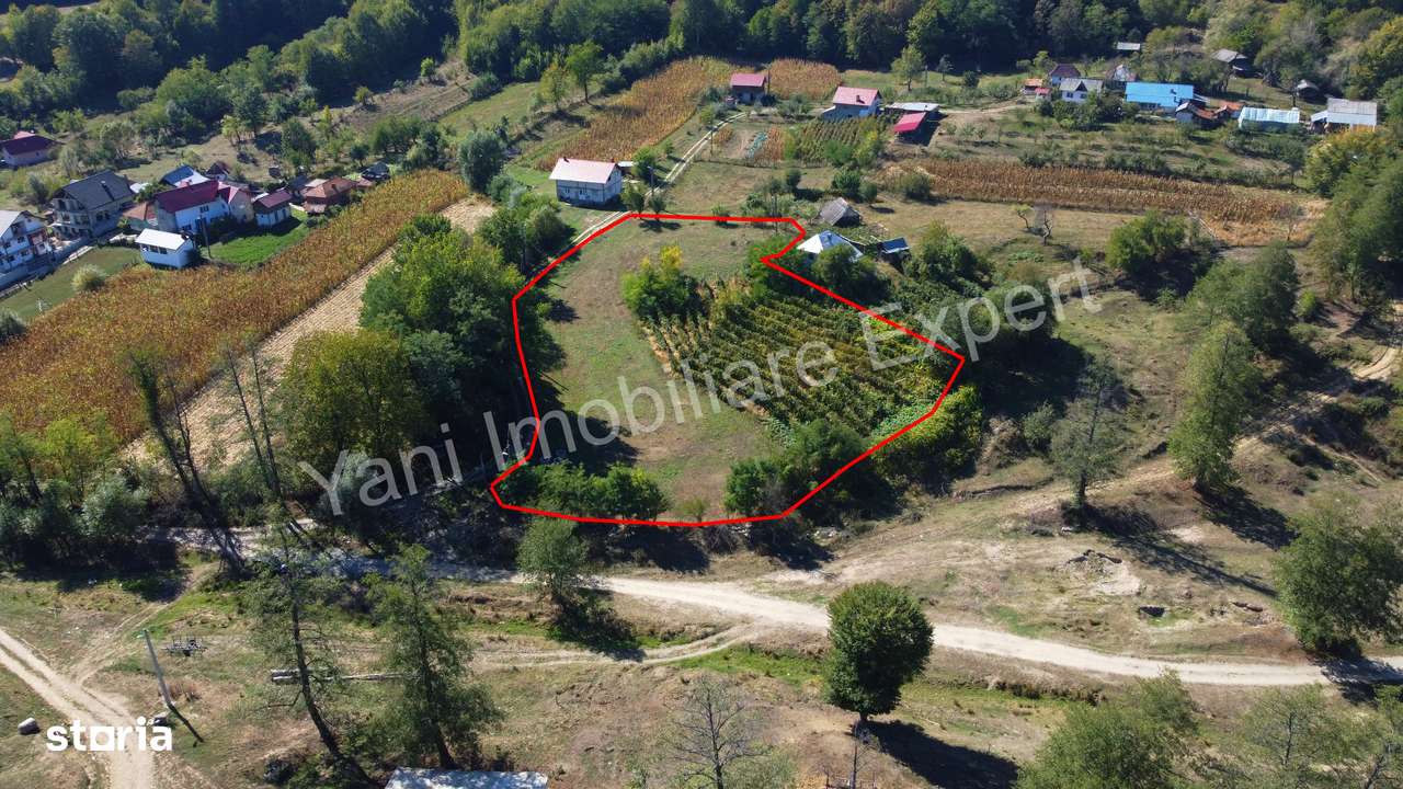 Teren de vânzare în comuna Băiculești, sat Tutana, județ Argeș. - Imagine principală: 2/10