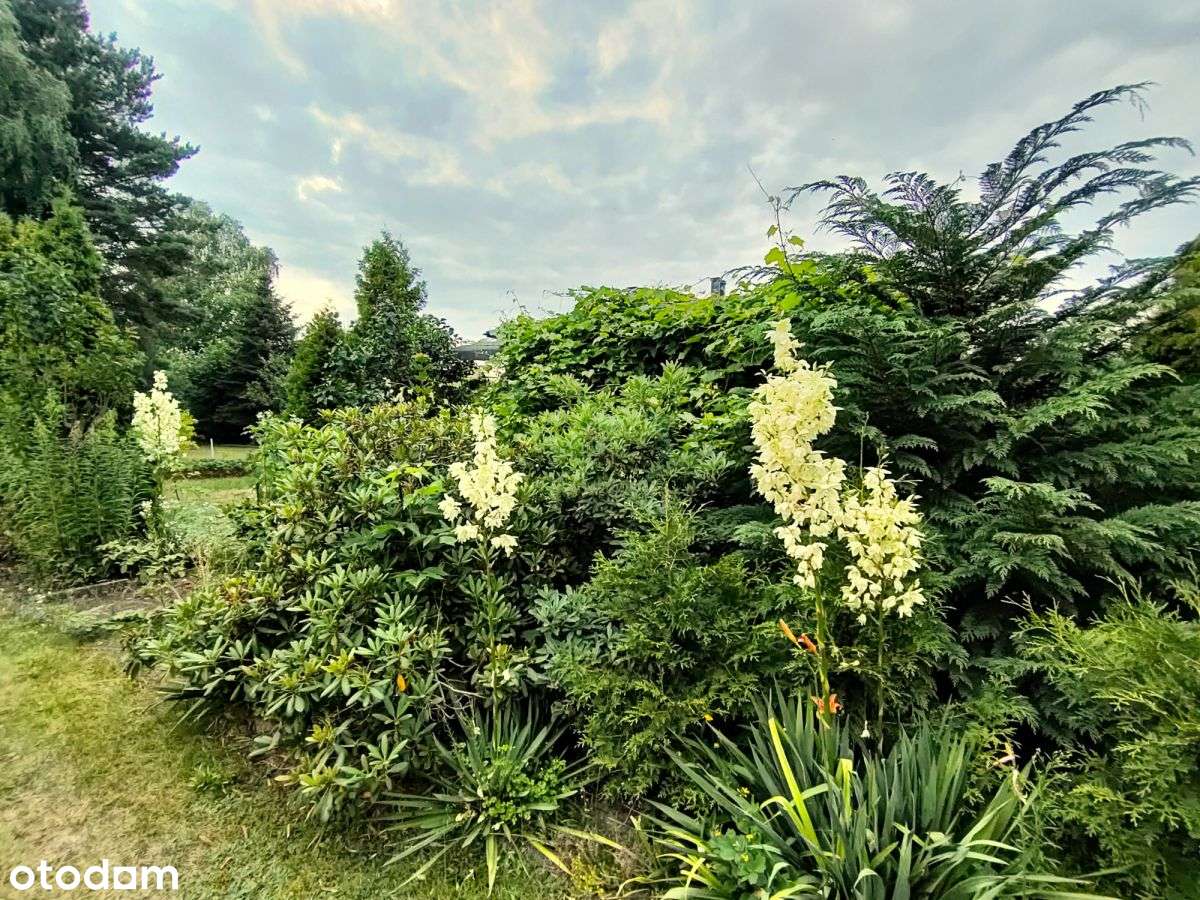 Działka z murowanym domkiem.-9