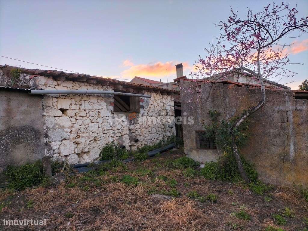 Conjunto de 3 barracões e um anexo com cozinha para recuperar com 3... - Grande imagem: 4/19