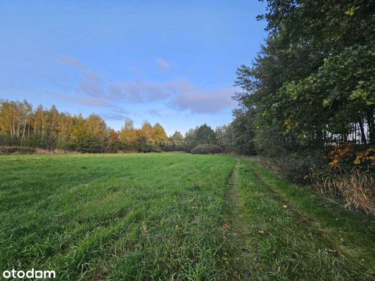 Działka, 1 000 m², Teodorów - Pełny obrazek: 5/12