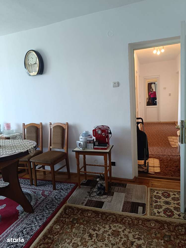 Apartament central Vulcan-3