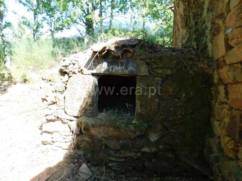 Terreno com ruina / Seia, Seia - Grande imagem: 5/10