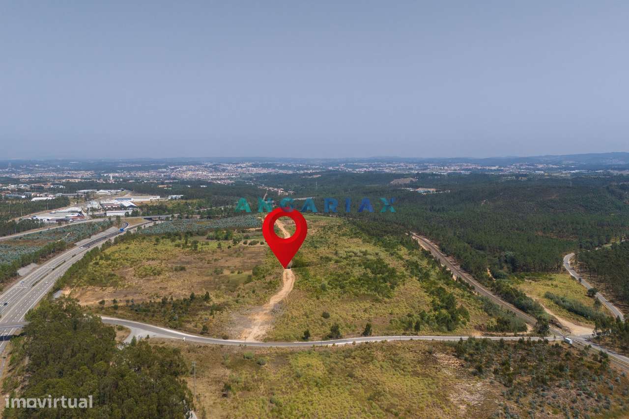 ANG380 - Terreno 42.5ha para Venda em Barosa - Grande imagem: 5/35