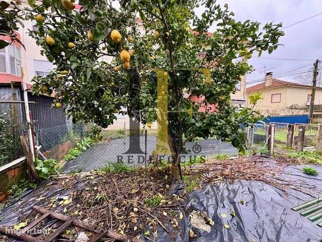 Apartamento T3 em São João da Madeira-16