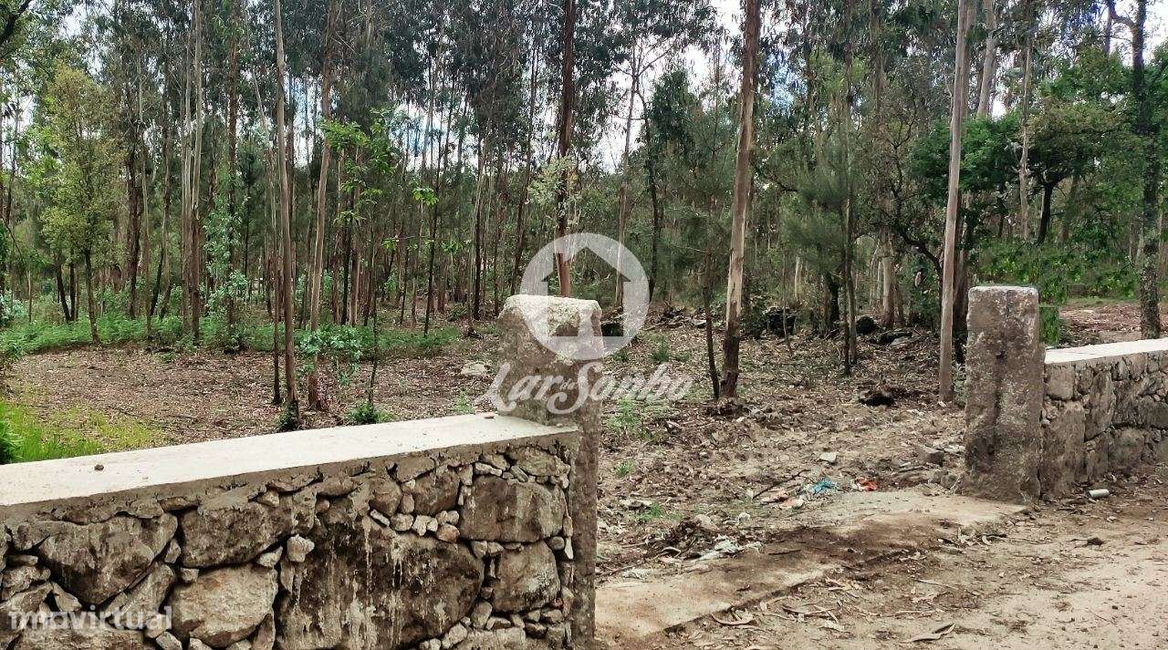 Terreno para construção - Grande imagem: 4/20