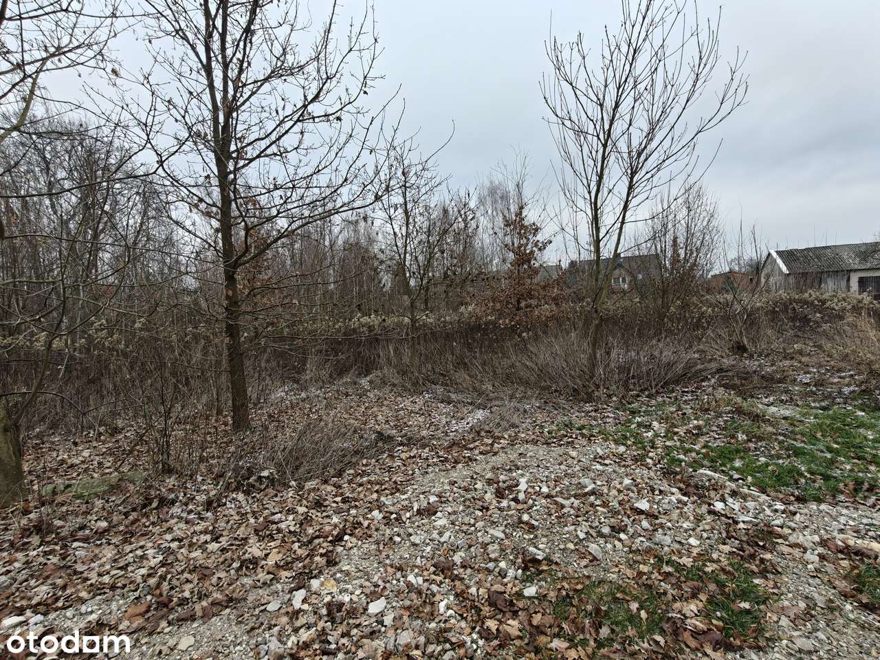 Sprzedam DZIAŁKĘ 0,128 ha (opcja sprzedaży razem 3 działek 0,46 ha) - Pełny obrazek: 4/9