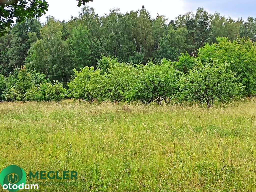 Działka niedaleko lasu-5