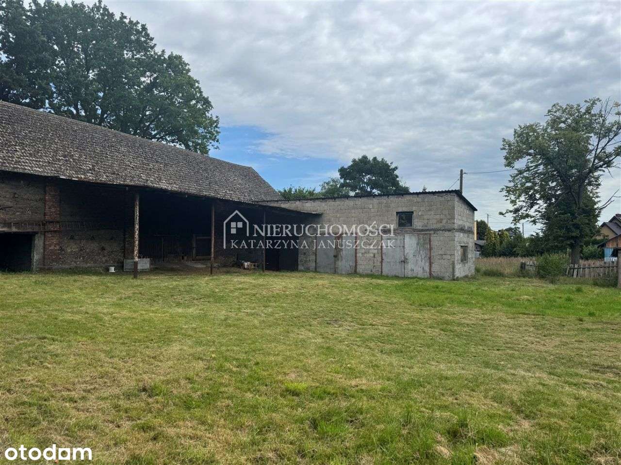 Gospodarstwo Rolne/ Siedlisko/ Stadnina - Pełny obrazek: 5/10