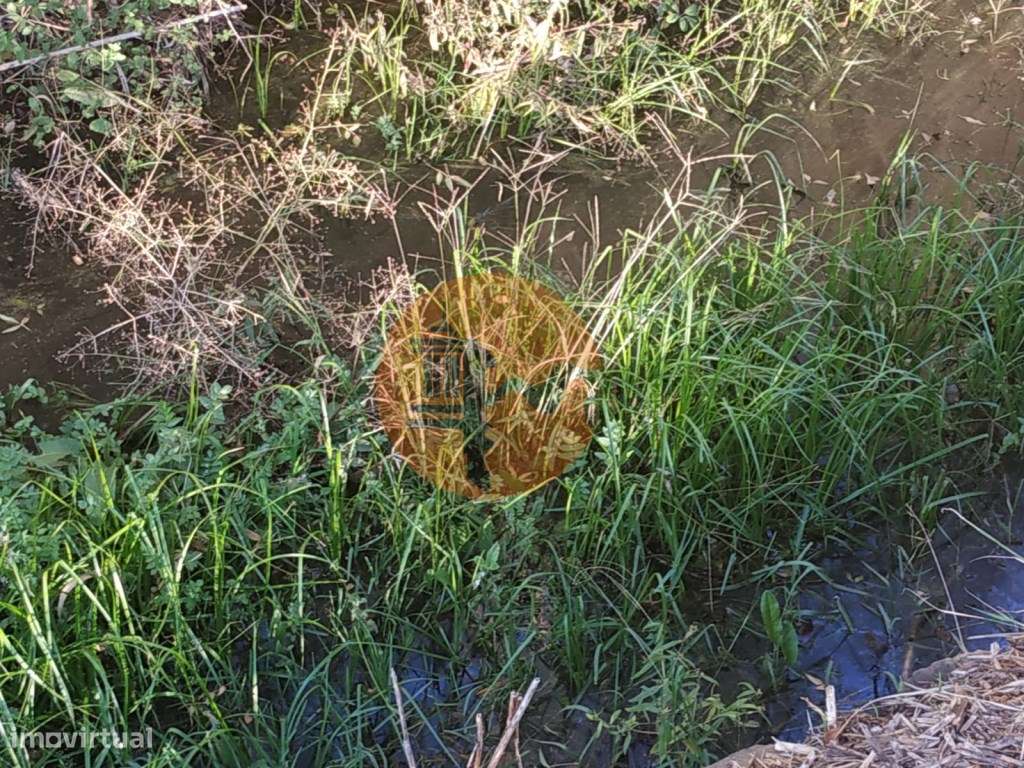 TERRENO COM RUINA - 4.960 M2 - COM NORA - ÁGUA DA BARRAGEM NA JUNQU...-28