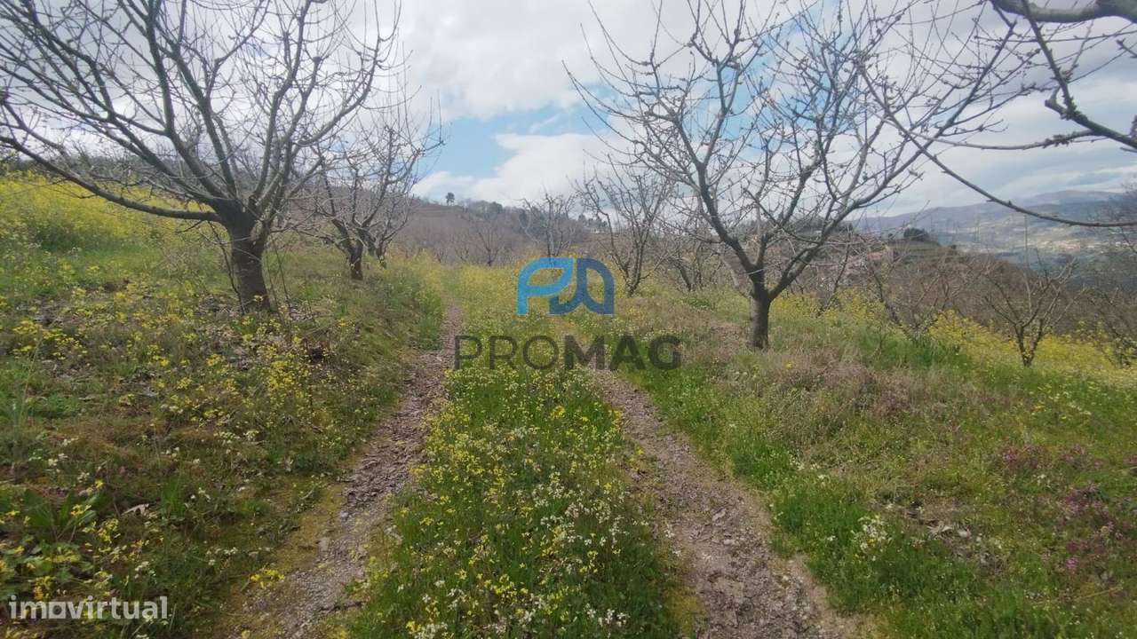 Terreno Urbanizável de 7959 m² com Armazém-43